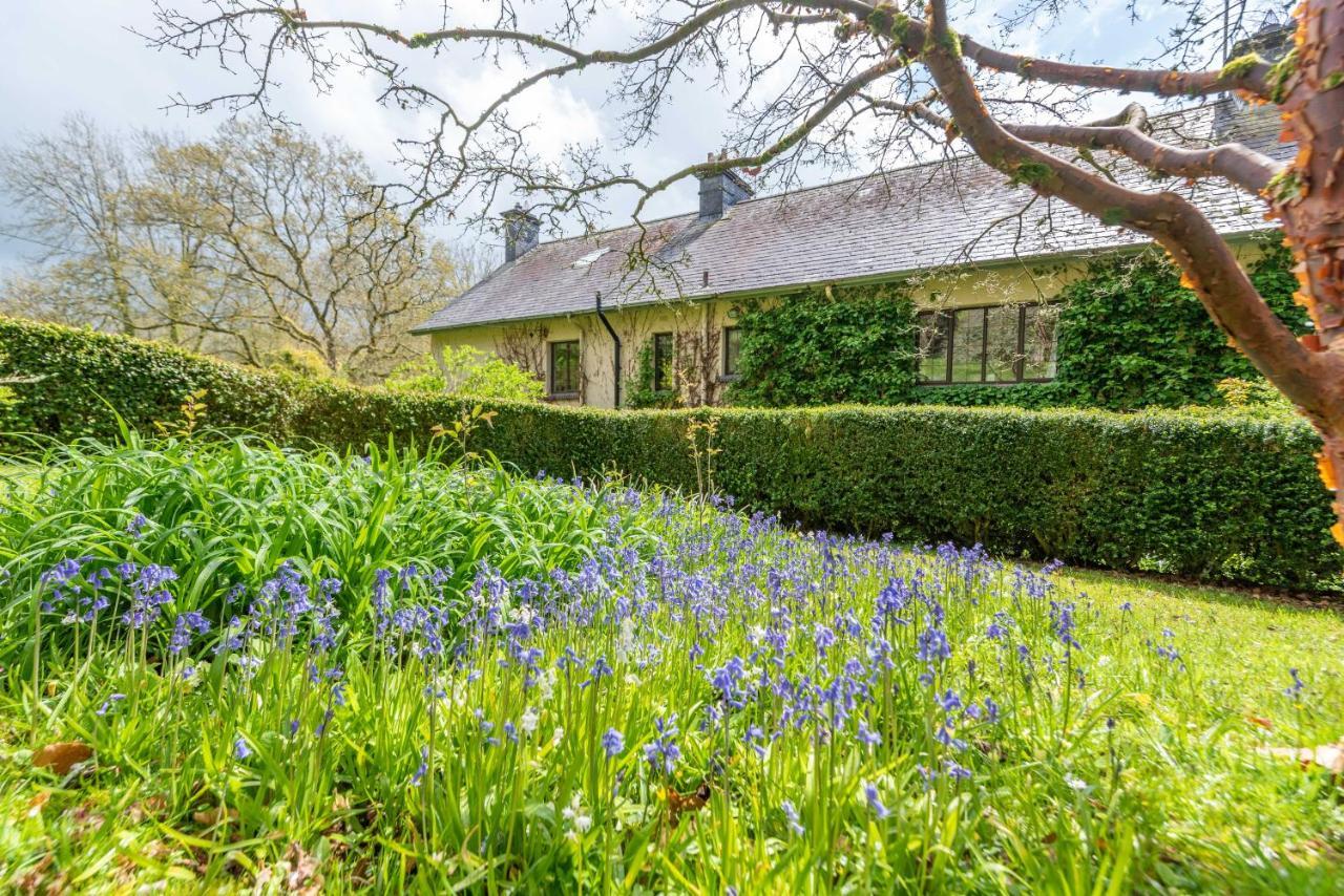 Nutsford House Bed & Breakfast ดัลเวอร์ตัน ภายนอก รูปภาพ