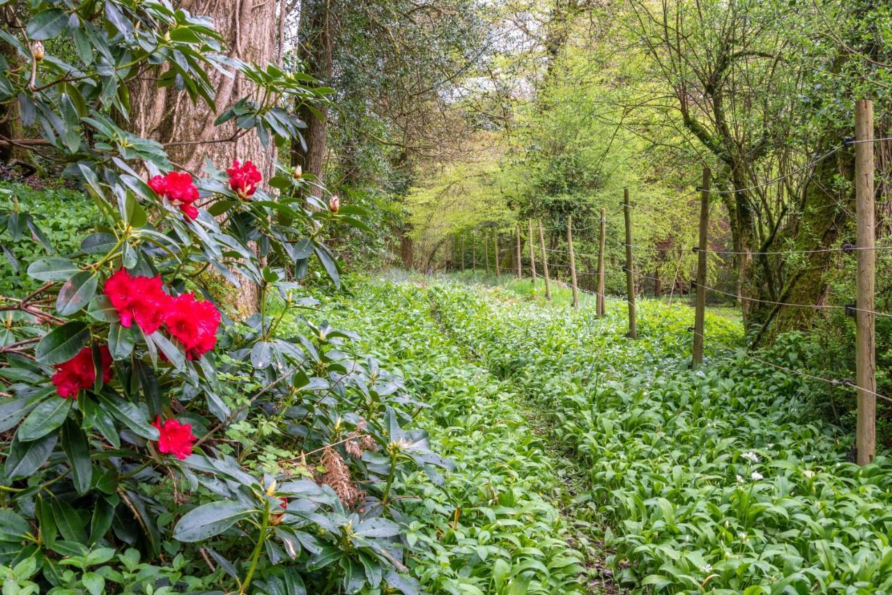 Nutsford House Bed & Breakfast ดัลเวอร์ตัน ภายนอก รูปภาพ